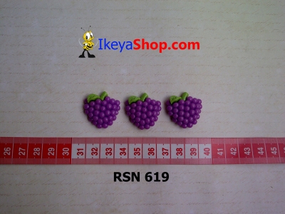 rsn 619  large2